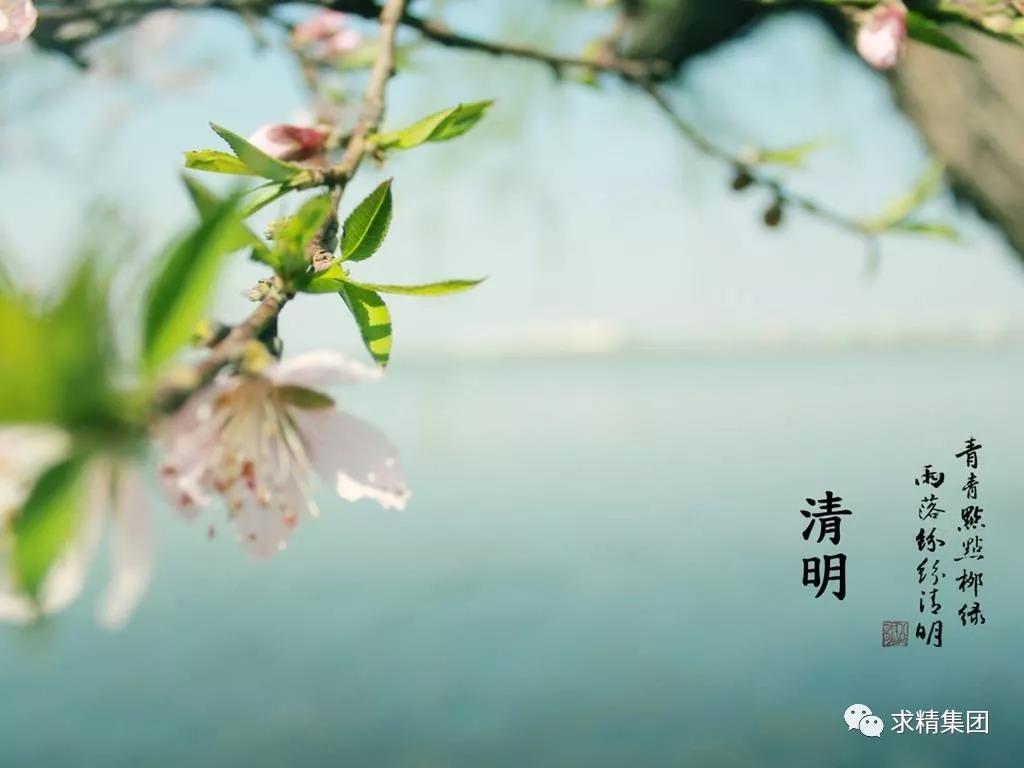 微信图片_20190404164243